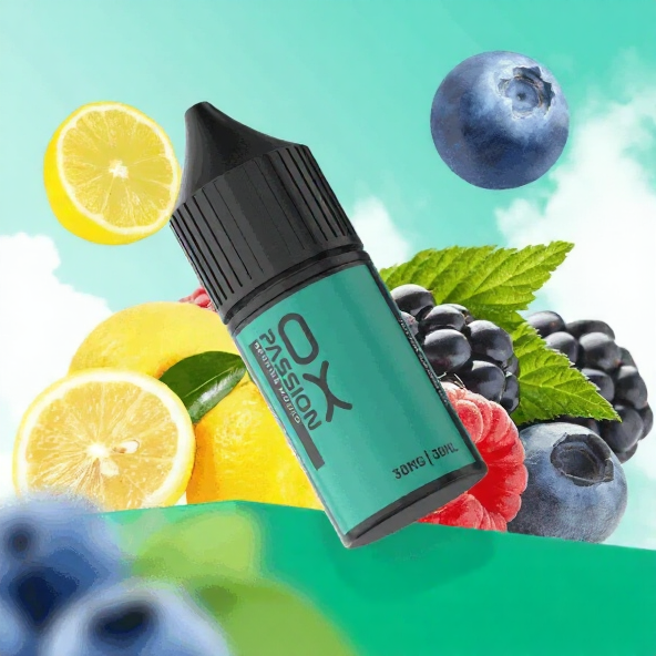 سالت اکسوا موهیتو بلوبری تمشک | Oxva Berries Mojito