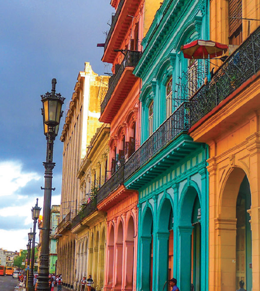 تنباکو آدالیا هاوانا Adalya Havana